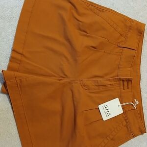 Anna High Waist Rust Shorts